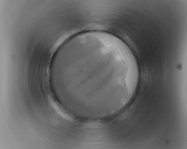 X0000113870674200910151301