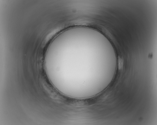 X0000113870675200910151301