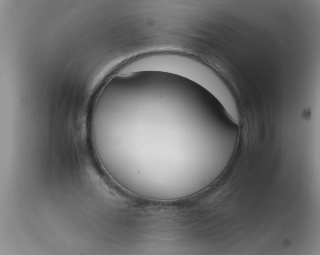 X0000113870676200910151301