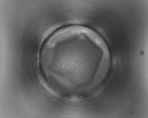 X0000113870678200910151301