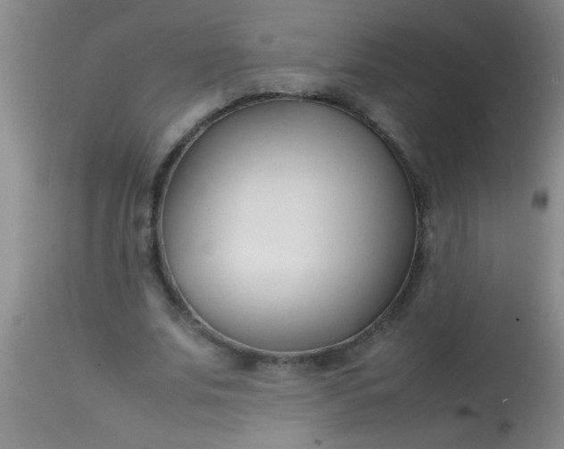 X0000113870679200910151301