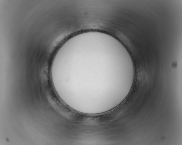 X0000113870680200910151301