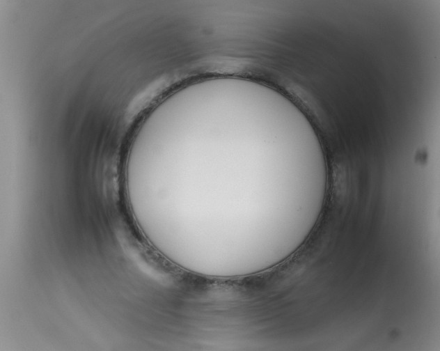 X0000113870682200910151301