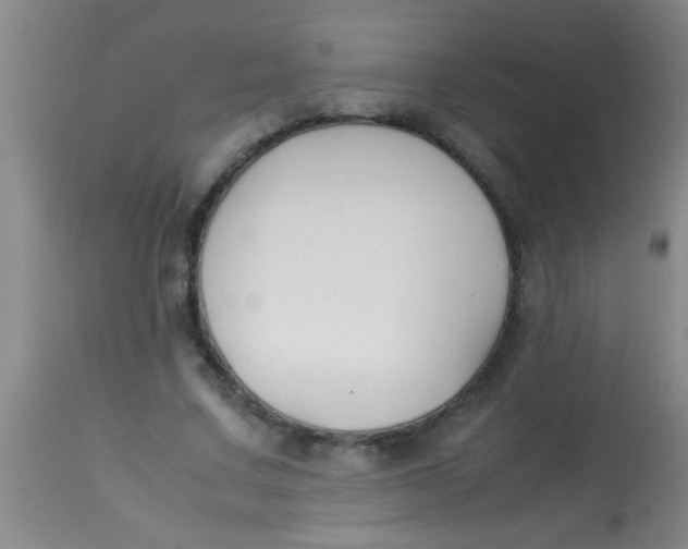 X0000113870683200910151301