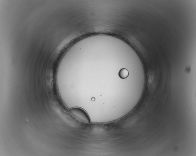 X0000113870684200910151301