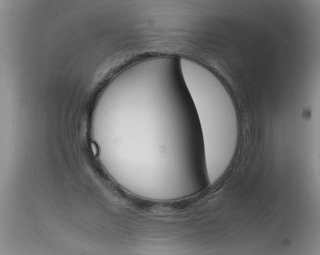 X0000113870685200910151301