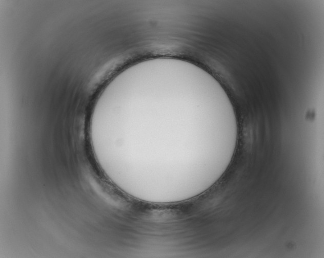 X0000113870686200910151301