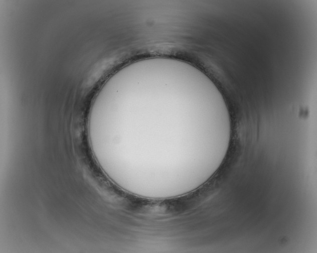 X0000113870687200910151301