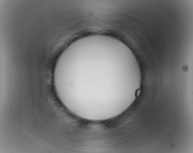 X0000113870689200910151301