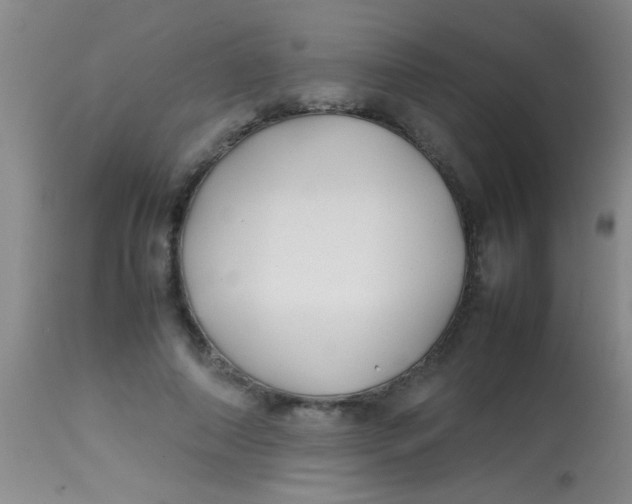 X0000113870690200910151301