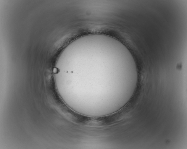 X0000113870691200910151301