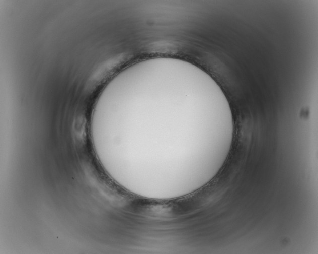 X0000113870692200910151301