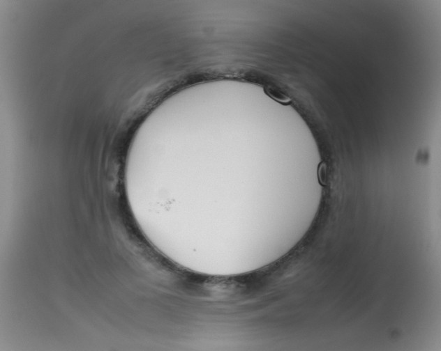 X0000113870693200910151301