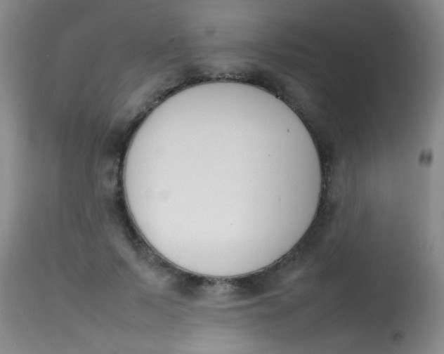 X0000113870695200910151301