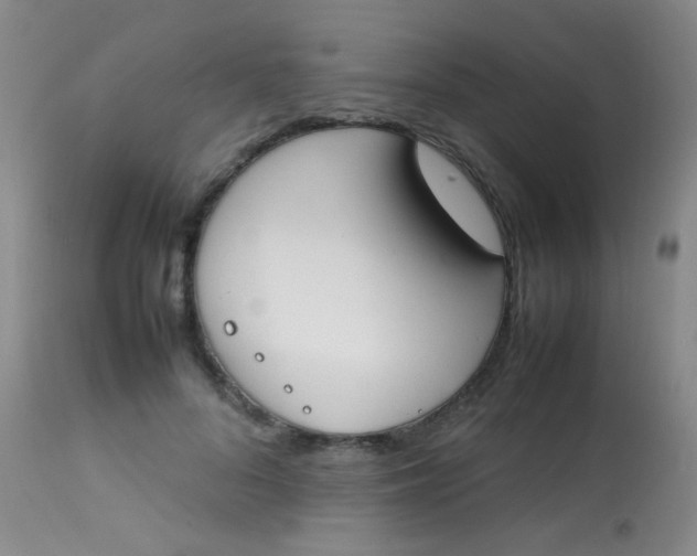 X0000113870696200910151301