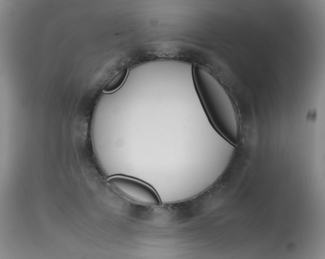 X0000113870697200910151301