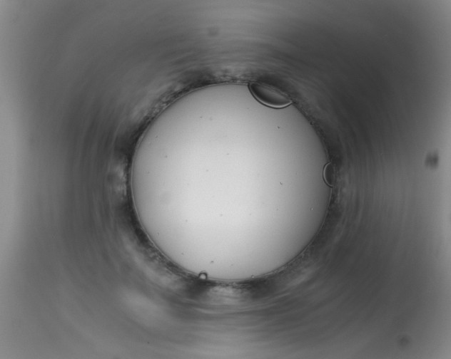 X0000113870699200910151301