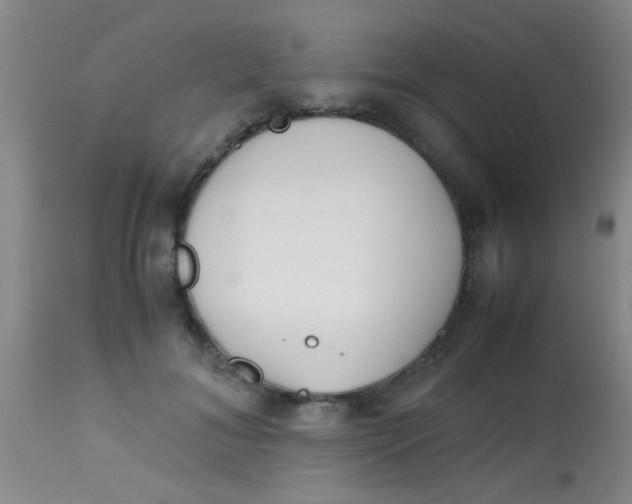 X0000113870700200910151301