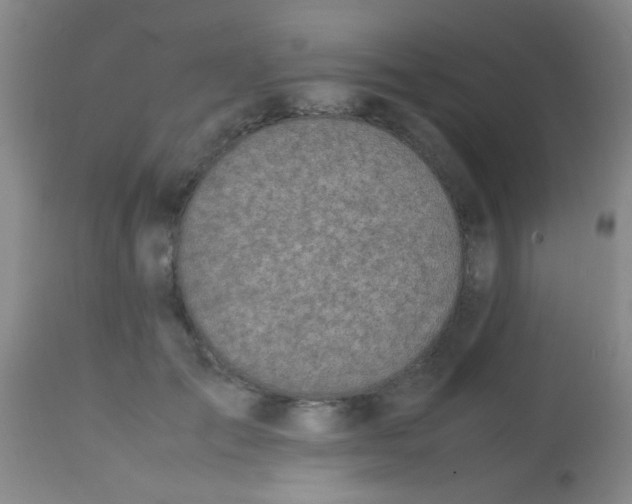 X0000113870701200910151301