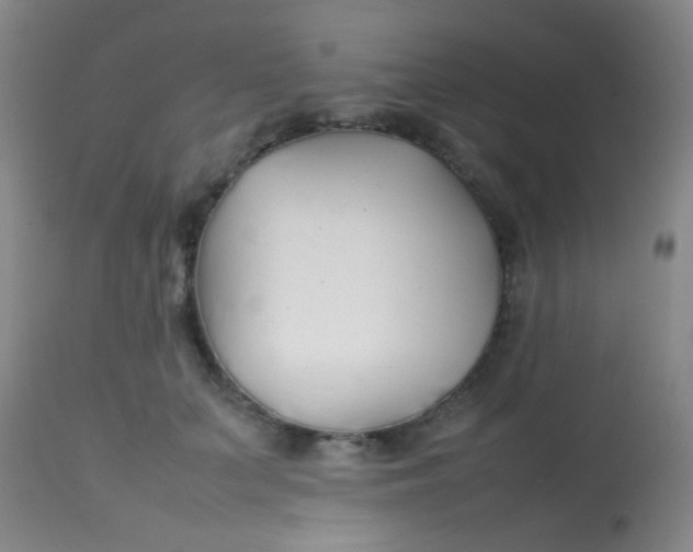 X0000113870703200910151301