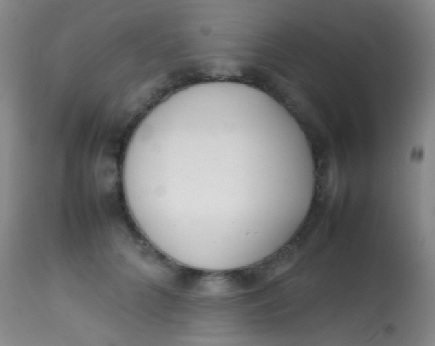 X0000113870704200910151301