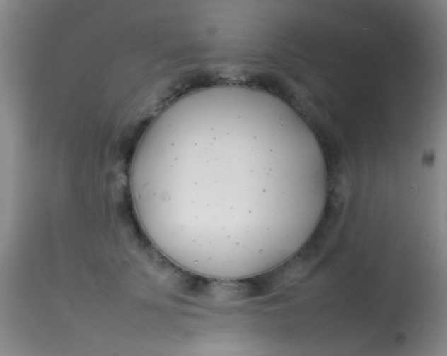 X0000113870707200910151301