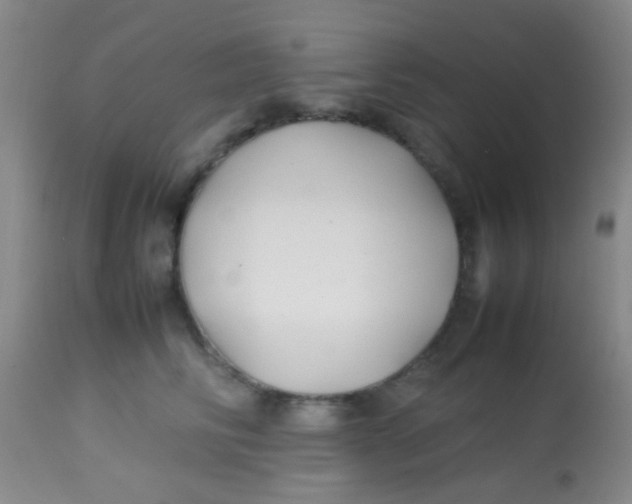 X0000113870710200910151301