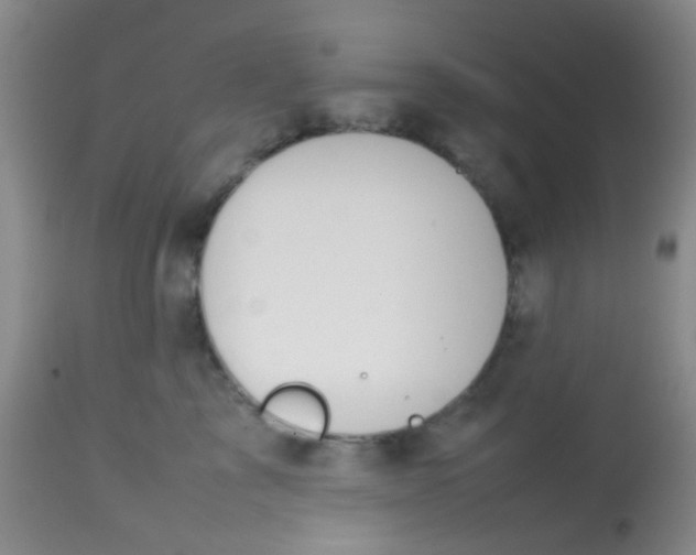 X0000113870713200910151301