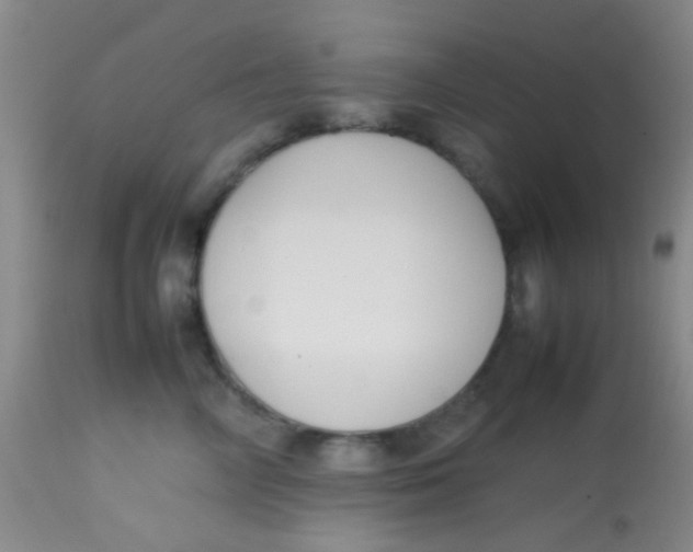 X0000113870714200910151301