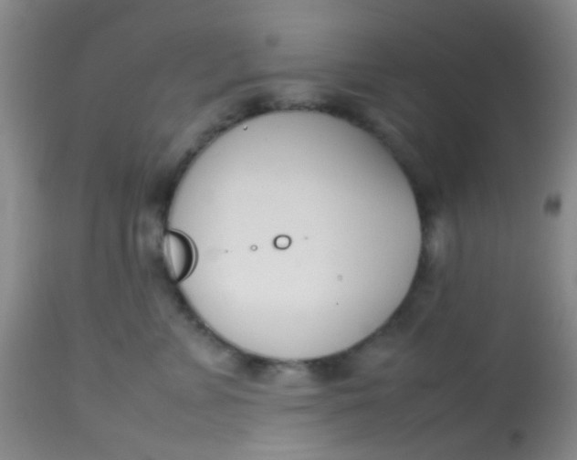 X0000113870715200910151301