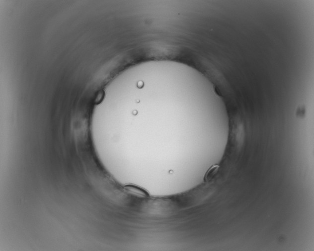 X0000113870716200910151301