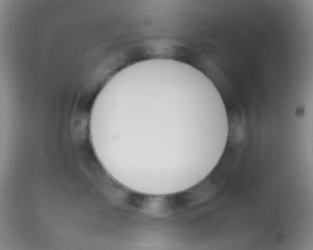 X0000113870717200910151301