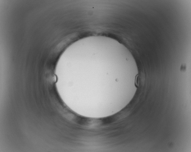 X0000113870719200910151300