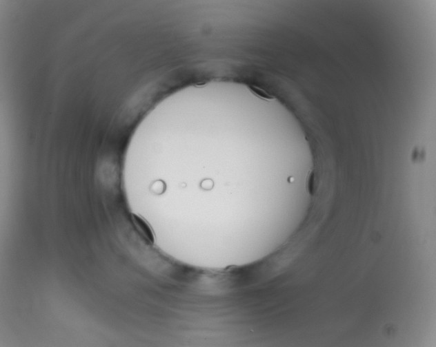 X0000113870720200910151300