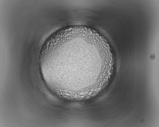 X0000113870721200910151300