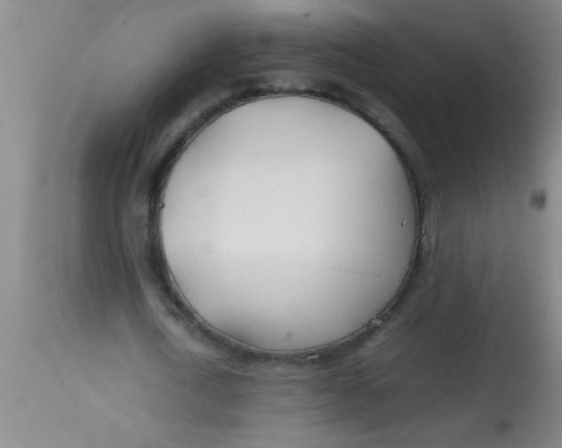 X0000113870722200910151300