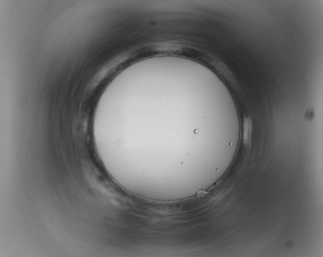 X0000113870723200910151300