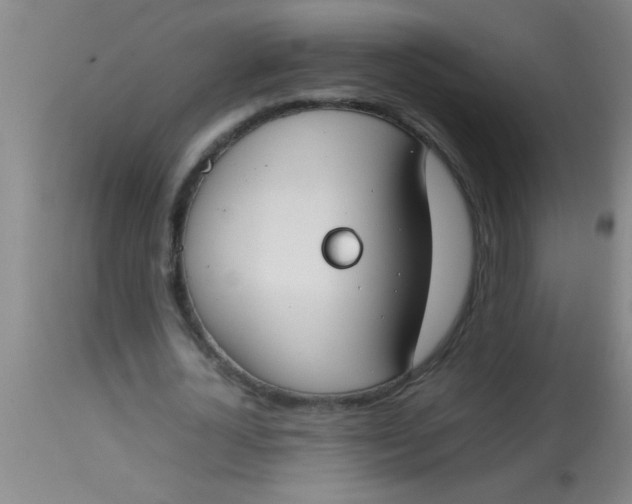 X0000113870724200910151300