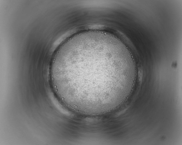 X0000113870725200910151300