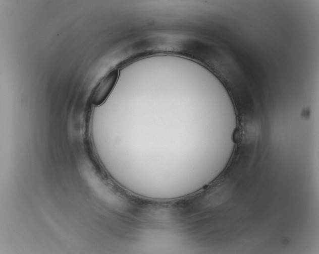 X0000113870726200910151300