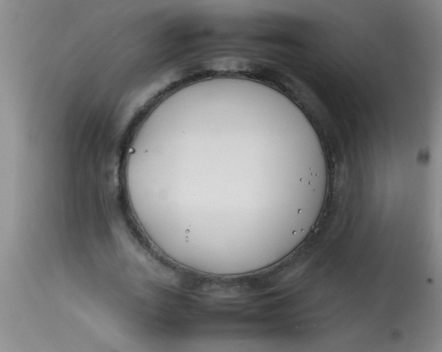 X0000113870727200910151300