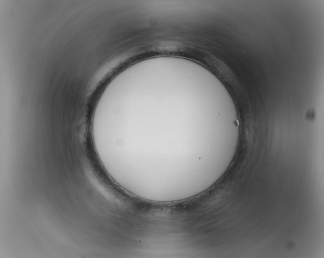 X0000113870728200910151300