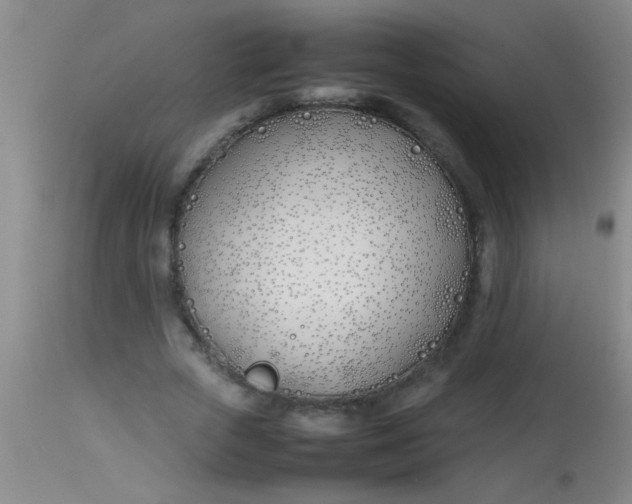 X0000113870729200910151300