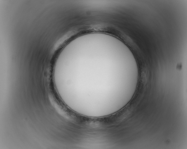 X0000113870730200910151300