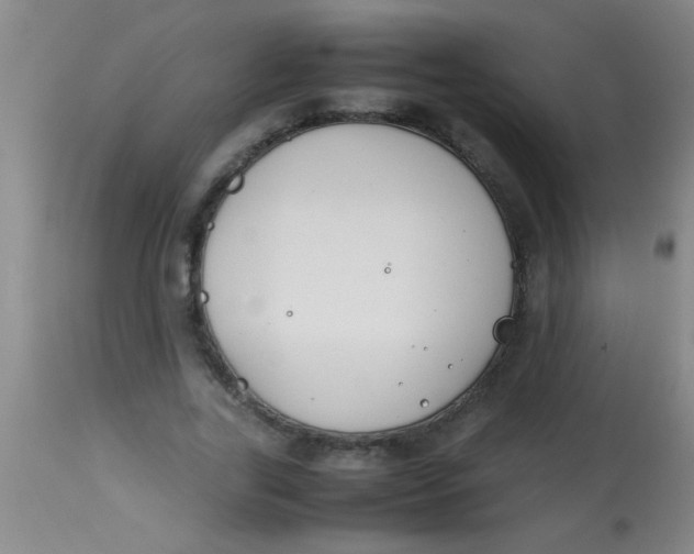 X0000113870731200910151300