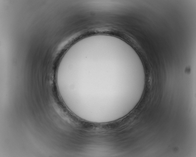 X0000113870732200910151300