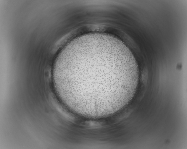 X0000113870733200910151300