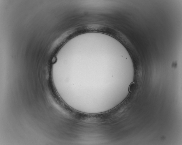 X0000113870734200910151300