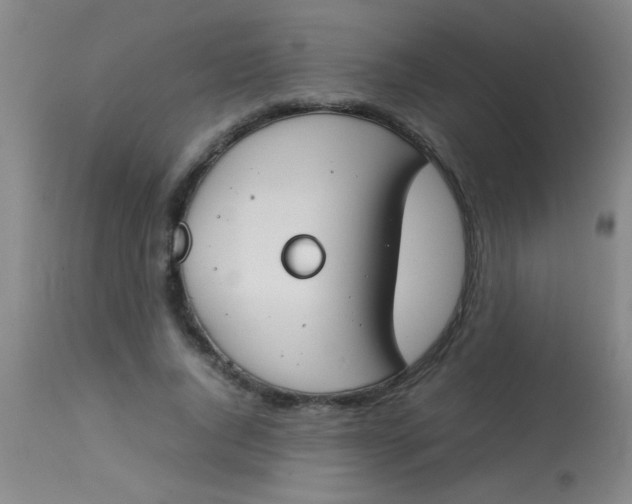 X0000113870736200910151300