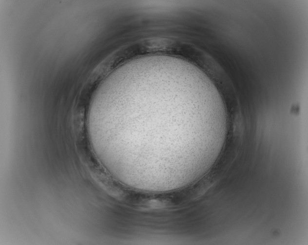 X0000113870737200910151300